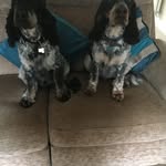 Jayne Perry - @jcperry1958 - Instagram