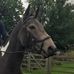 Jayne Pickering - Facebook