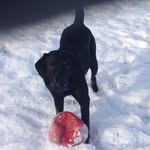 Jayne Pickering - @jaynepickering9 - Instagram