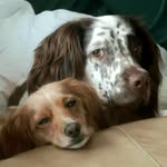 Jayne Platt - @jayneplatt - Instagram