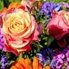 Jayne Powers - @flowerpower513 - TikTok