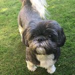 Jayne Pratt - @pratt.jayne - Instagram