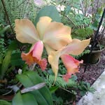 Jane Rainey - @janerainey1940 - Instagram