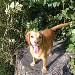 Jayne Reeves - @jaynereeves0 - Instagram