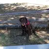 Jayne Reeves - @jayne.reeves7 - TikTok