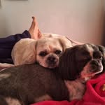 Jayne Richards - @jaynerichards54 - Instagram