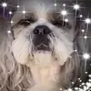 Jayne Richards - @jaynerichards54 - TikTok