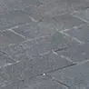 jayneerodriguez - @jayneerodriguez - TikTok