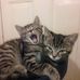 Jayne Roper - Facebook