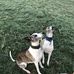Jayne Roper - Facebook