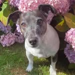 Jayne Roper - @giraff_mum - Instagram