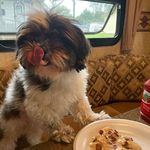 Jayne Rouse - @jayne.rouse.52 - Instagram