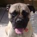 Jayne Rowe - Facebook