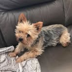 Jayne Rush - Facebook