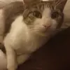 jaynerushton - @jaynerushton - TikTok