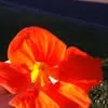 Jane Schmidt - @jane.schmidt71 - TikTok