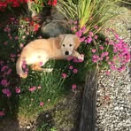 Jane Schneider - Facebook