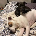 Jayne DePalma Sheldon - @jaynedepalmasheldon - Instagram