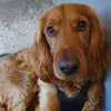 Lillie may dugley - @jaynesinclairhersey - TikTok