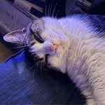 Jayne Singleton - @easthamgirl64 - Instagram