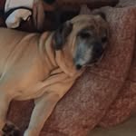 Jayne Singleton - @jayne20114 - Instagram