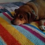 Jayne Smart - @jayne.smart.71 - Instagram