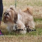 Jayne Snell - @jayne.snell.79 - Instagram
