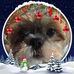 Jayne Snell - Facebook