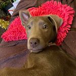 Jayne Steele - @wench42 - Instagram
