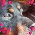 Jayne Thacker - Facebook