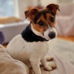 Jane Thurman - @jane.thurman - Instagram