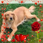 Jane Thurman - @jthurman1239 - Instagram