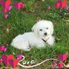 jaynetracy471 - @jaynetracy471 - TikTok