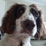 Jayne Turner - @jayne_turner - Instagram