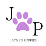 Jayne Turner - @jaynes_puppies - Instagram