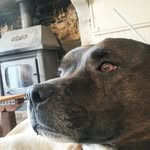 Jayne Turner - @jayneturner4 - Instagram
