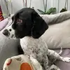 Janey Walters - @janey.walters - TikTok