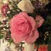 Jayne Weaver - Facebook