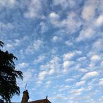 Jane Whitfield - @enajtihw - Instagram