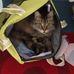 Jayne Whiting - Facebook