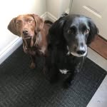 Jayne Williamson - @jayne.williamsonwasrobertson - Instagram