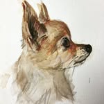 Jayne Wilson Art - @jaynewilsonart - Instagram