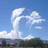 Jayne Jones - @jayne.jones8 - TikTok