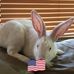 Jaysen Thomas - Facebook