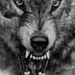 Jayson Adams - @adams_jayson - Instagram