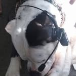 Jayson Adams - @cr250pro45 - Instagram