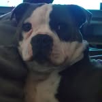 Jayson Adams - @jayson.adams.585 - Instagram