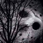 Jason Arnold - Facebook