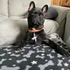 JaysonBooth - @therealjaysonbooth - TikTok