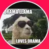 Jayson Boyd - @shelba339960 - TikTok